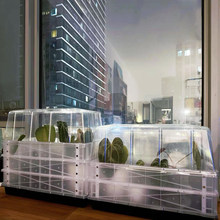 ��������Ѩ�P���B���ˮƬƽ�Pʮ������¶����С���ұ��ر�����B