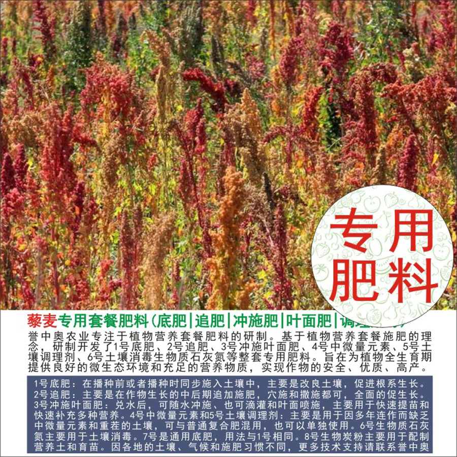 50�����а�޼��ר���л��ʸ��Ϸʵ׷�׷��Ҷ��ʳ�ʩ��ˮ�ܷ�