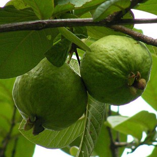 ��ʯ����t�����ϰŘ���������̨���ļ����鷬ʯ������箔��Y��