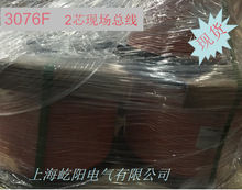 ��ͨ Belden 3076F 2о Fieldbus,