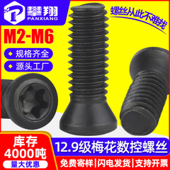 グレード 12.9 トルクスネジ CNC ツールバードライバーブレードツールネジ卸売 m2m2.5m3m3.5m4m5m6