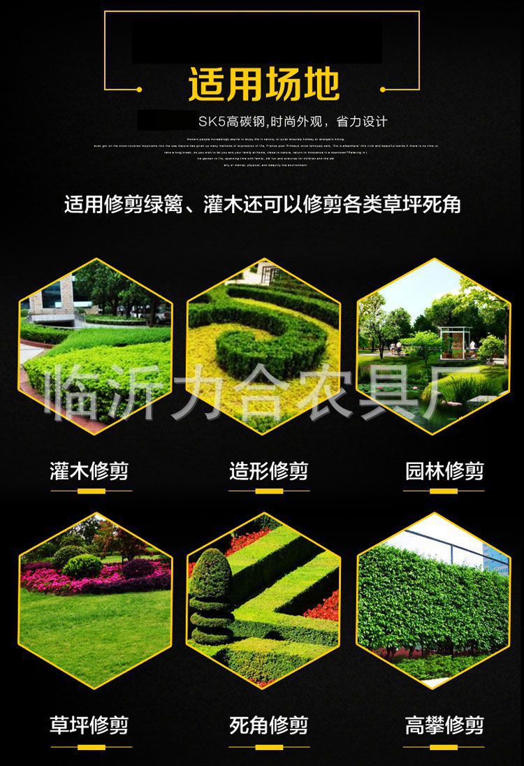 详情-8.jpg?x-oss-process=image/format,png