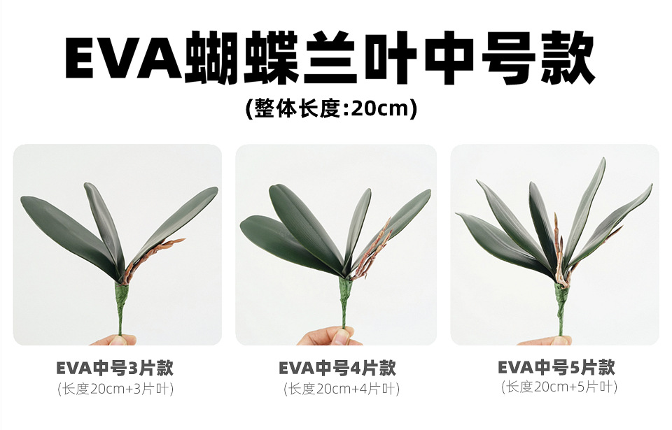中号5片DSC01843(2)_副本_副本.jpg