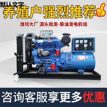 潍坊柴油发电机组30/40/50KW/100/150/200/300千瓦养殖备用带焊机