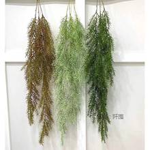 绿植壁挂波斯蕨类吊顶墙挂吊兰花绿色植物藤条垂吊装饰