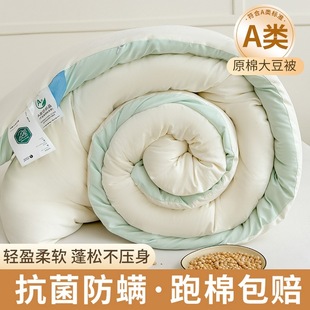 Class A Raw Cotton Soybean Fiber Quilt Thickened Warm Quilt Single Student Spring and Autumn Quilt Winter Quilt Core Household Air-conditioning Quilt