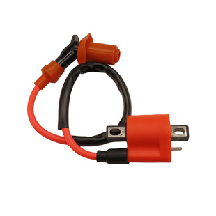 ԽҰĦ��܇ɳ��܇ATV���125 150cc 200cc�c��Ȧ�߉���Ignition
