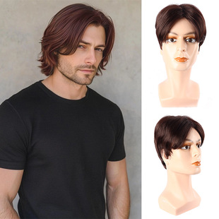 Foreign Trade European and American Men's Wigs Brown Gold Partial Short Straight Hair Fashionable Chemical Fiber Wig Headgear Ready-Made Men Wigs