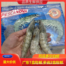 盐冻厄瓜多尔3040 4050白虾新鲜盐冻鲜活大虾速冻2000g/盒  量大