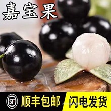 ��S���]�ζ������Fժ�Ό����������r�������ЋDϡ��Ҋˮ��ɳ��