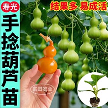 �۹������������J�����߮a�����ļ�����������J���̨������N��