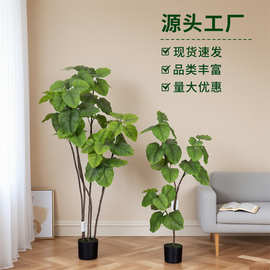 仿真绿植心叶榕琴叶爱心榕北欧风家居客厅落地植物盆栽橱窗造景