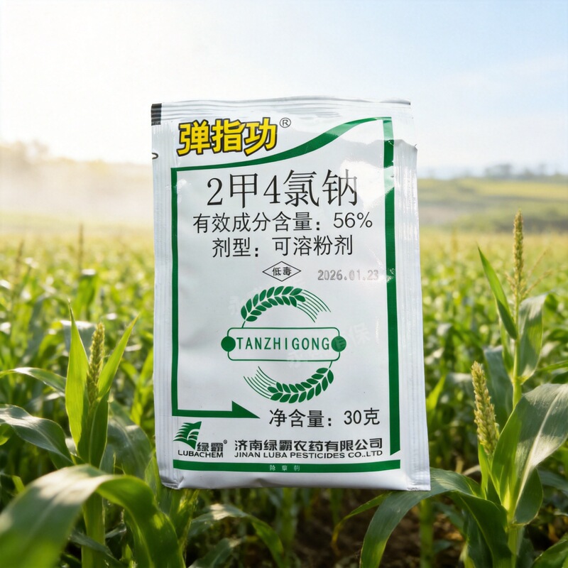 Greenmaster 56% 2-Methyl-4-Chloro-Natrium Dimeethyl-4-Chloro-Steel Herbicide Genuine Pesticide Wholesale Direct Sales with Free Shipping Greenmaster 56% 2-Methyl-4-Chloro-Natrium Dimeethyl-4-Chloro-Steel Herbicide Genuine Pesticide Wholesale Direct Sales with Free Shipping