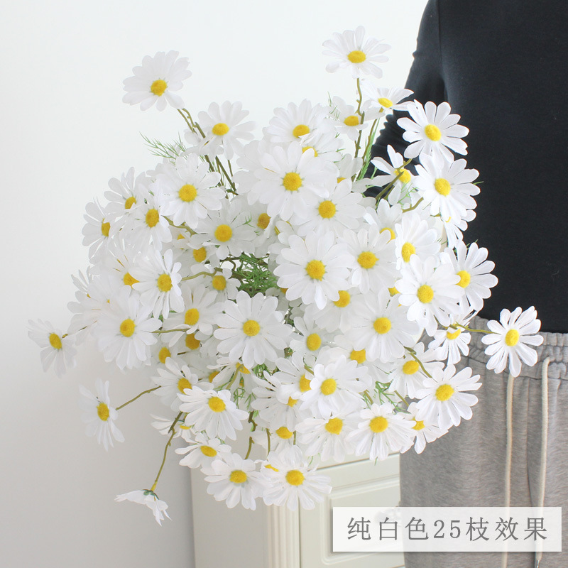 纯白.jpg