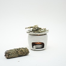 ��ʽ�����մɿ���tѬ��ֲ��ѩ����޹�tϞ�T�ӟ�����ز�t�濾�t