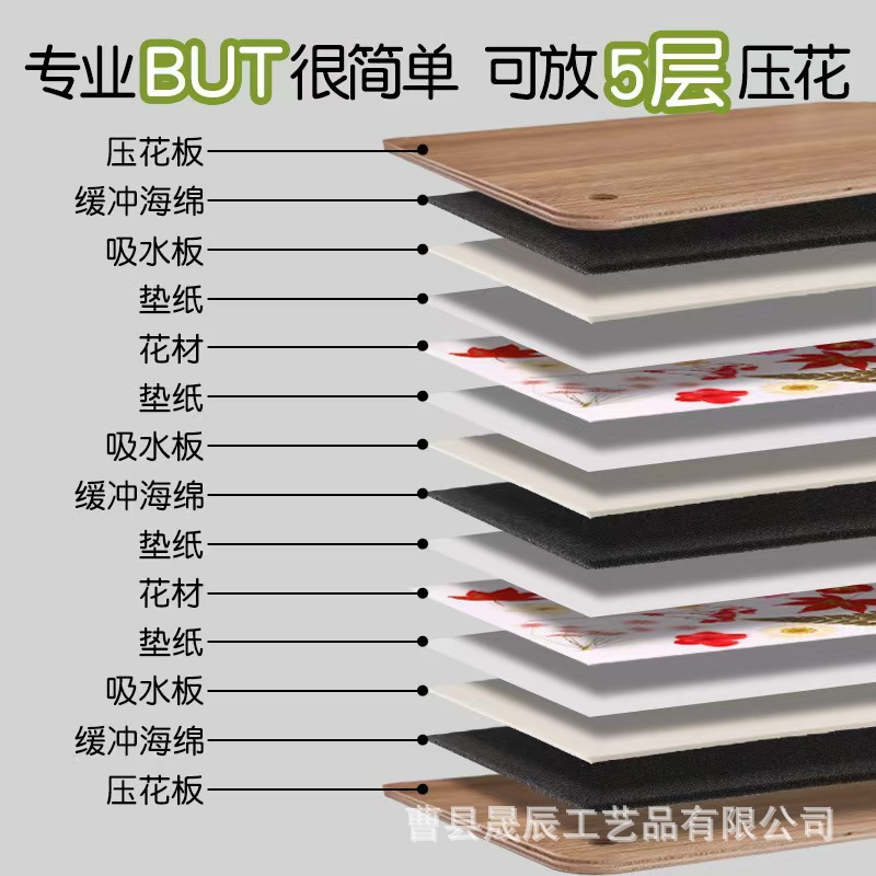 Tablero de madera en relieve, paquete de material de muestra de planta de bricolaje hecho a mano, máquina de prensado de flores secas, herramienta de creación de marcos de fotos de marcadores