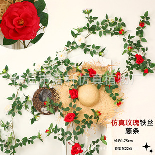 ����õ�廨�ٗl�軨�F�z�ٗl�ڒ��҃ȿ͏d�bٻ�������ϻ����l