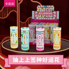 小花农上上签好运种植祝福语种植小盆栽办公室学生桌面摆件小盆栽