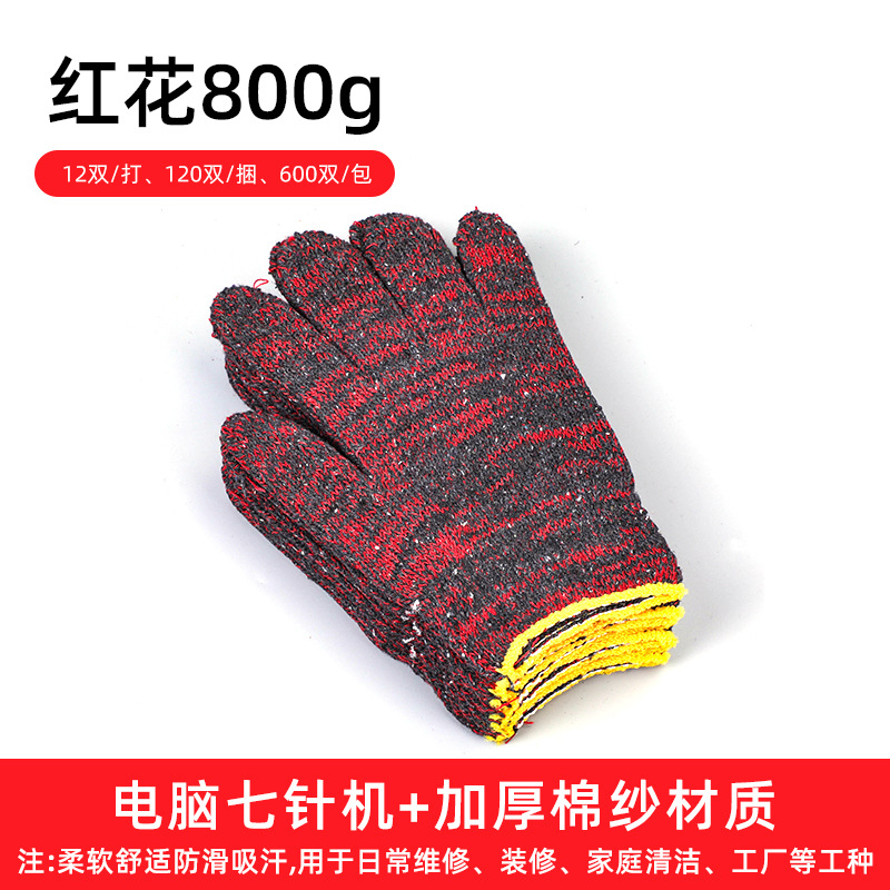 홍화 800g