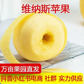 梨;苹果;其他水果