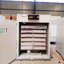全自动孵化机微电脑控制器1232枚孵化出雏体机家用鸽小型孵蛋器