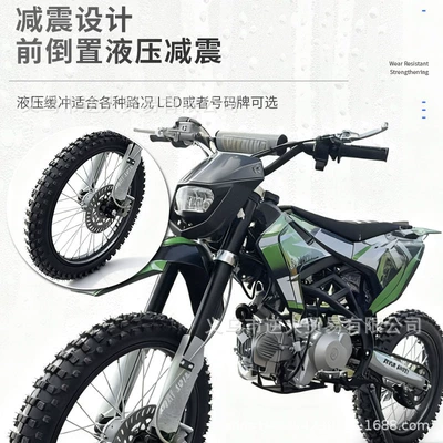 Cross-Border Export of Adult Motosikletlər