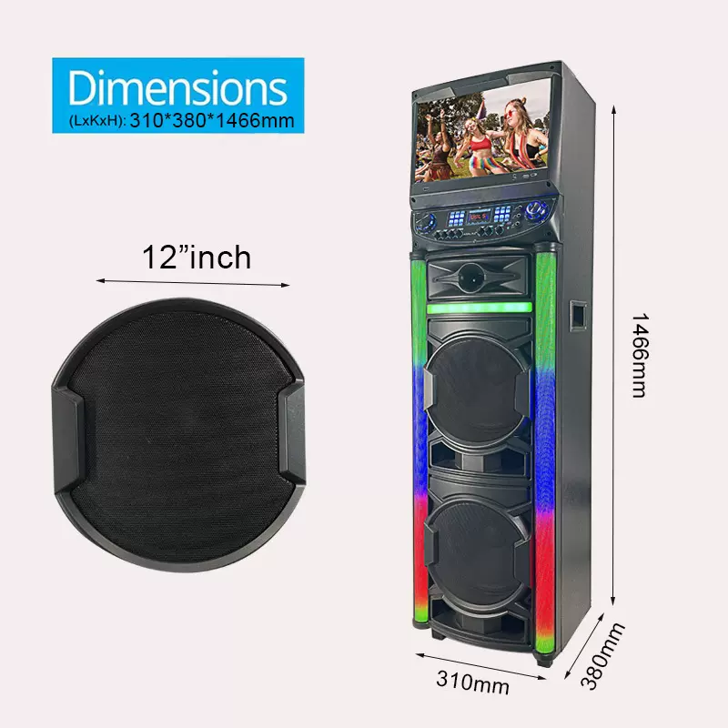 P-21202华星双12寸蓝牙视频机 欧美便携式大功率炫彩灯音响