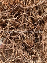 ����ݷ�ײݹ����� ÿ��500�� �����Ĕz��Ѭ�� ���I���Nș��