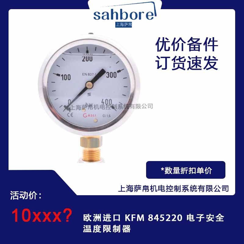 European Imported Kfm 845220 Electronic Safety Temperature Limiter European Imported Kfm 845220 Electronic Safety Temperature Limiter