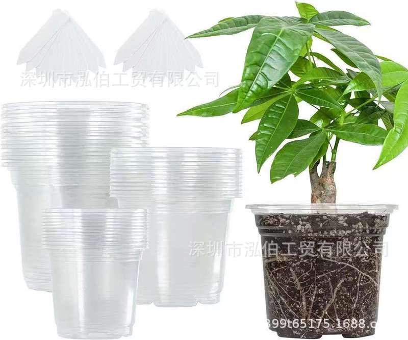 排水穴付きクロスボーダープラスチック底ドット透明植木鉢花植物容器胡蝶蘭多肉植物苗ポット|undefined
