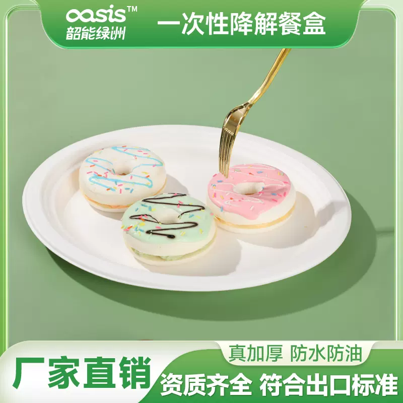 韶能绿洲工厂定制10寸可降解可堆肥甘蔗浆竹浆环保一次性圆盘碟子