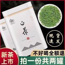 高山白茶2023春茶新茶绿茶明前特级嫩芽白茶罐装礼盒装125克