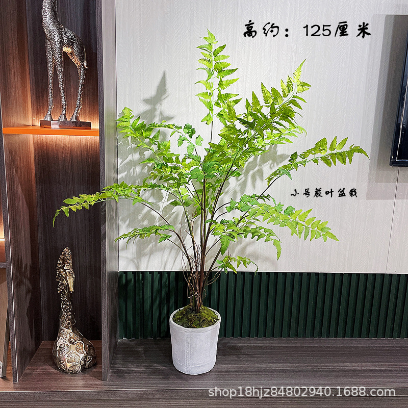 02a9aae8a3f739cae0ab746ce655bc