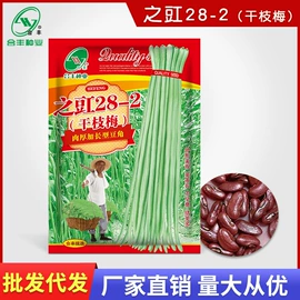 蔬菜种子;粮食作物种子;营养液
