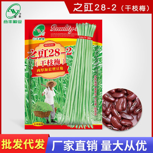 ֮��28-2��֦÷���ǷN�������N����Ʒ�N�L���Ǽܶ��N���߲������l