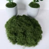 Filamentous Moss Army Green 300g