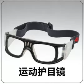 骑行眼镜;滑雪镜;宠物鞋靴