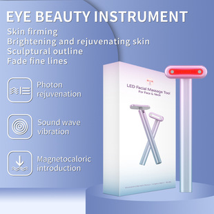 Cross-Border Popular Ems Fairy Wand Microcurrent Introduction Vibration Facial and Neck Massage Eye Beauty Device
