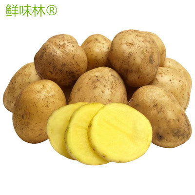 云南高原新鲜蔬菜瓜果现挖黄心土豆马铃薯5斤9斤产地直发代发批发