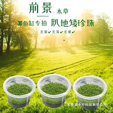 �o����ˮ��-ſ�ذ�����-ǰ��ˮ��30��40��50��60���~���쾰