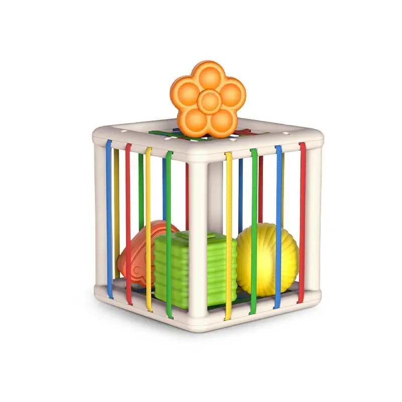 Square rainbow cesele [extra large] e-commerce box