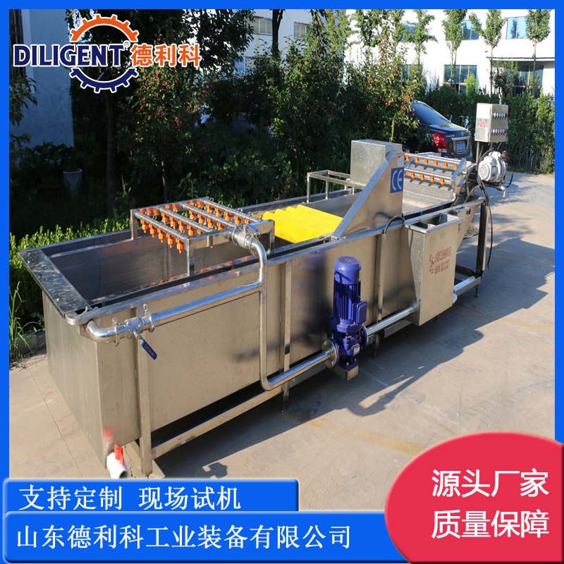 全自动果蔬气泡清洗机 商用高压喷淋洗菜机 果蔬海鲜气泡清洗机