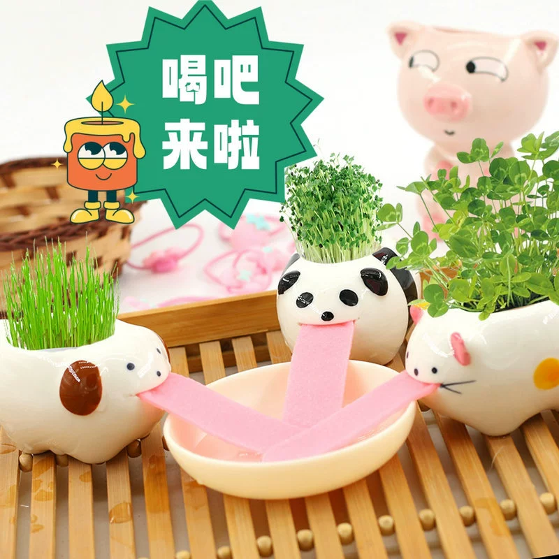 Напиток Бар Гостевой горшок Завод Офис Мини Завод Студенческая Игрушка Рождественский Подарок Трава Творческий Микро Пейзаж Кукла