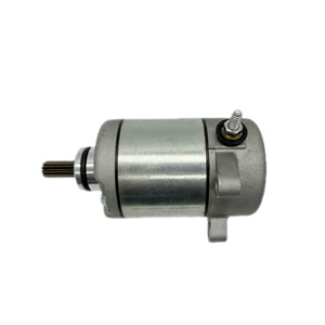31200-Hm8-003 Trx250Tm üçün motosiklet starter motoru aksesuarları