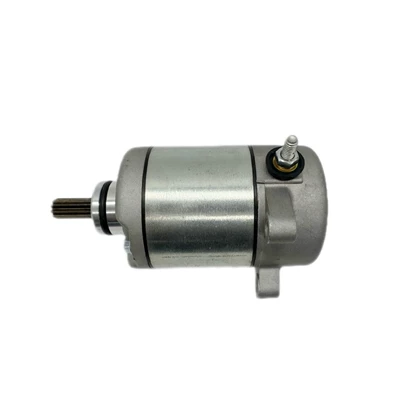 31200-Hm8-003 Starter Motor Motorcycle Accessories Fit for Trx250Tm (Starter and accessories)