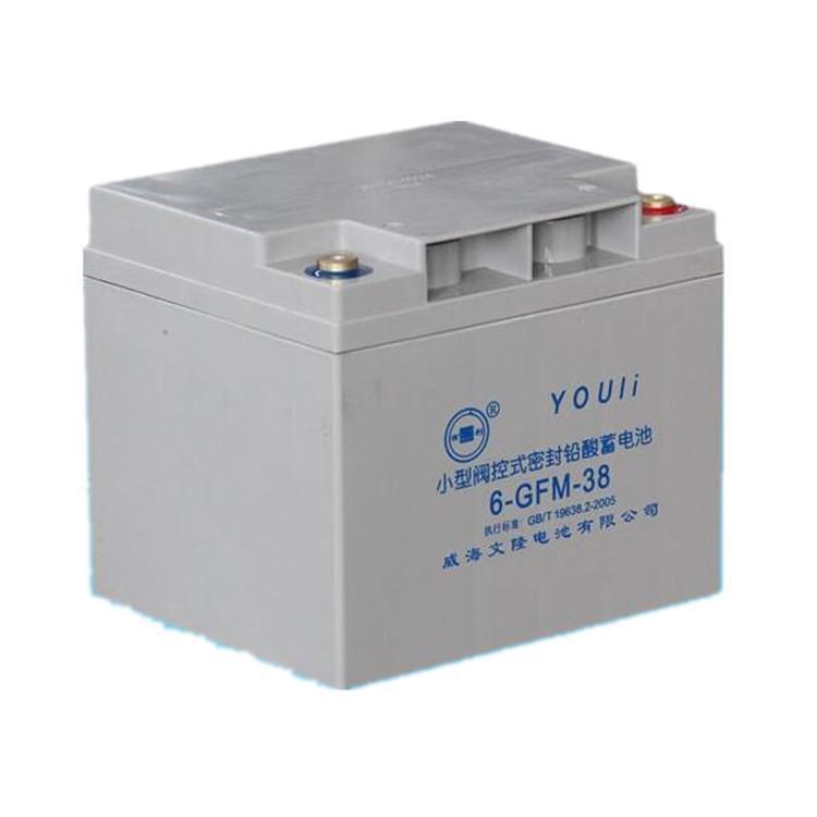 有利YOULI蓄电池6-GFM-40 12V40AH机房UPS配电室 EPS直流屏 消防