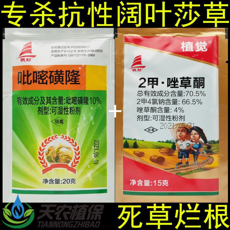 吡嘧磺隆+2甲唑草酮旱稻水稻田水葱浮萍牛毛毡三棱草香附子除草剂