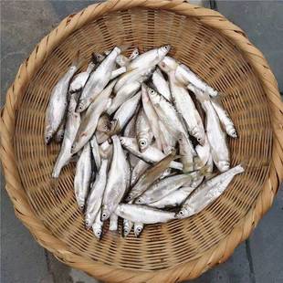 С�~�����l���rС�s�~Ұ�����r�����~�~ȥ�[ȥ���KС�חl�~�͗l�~