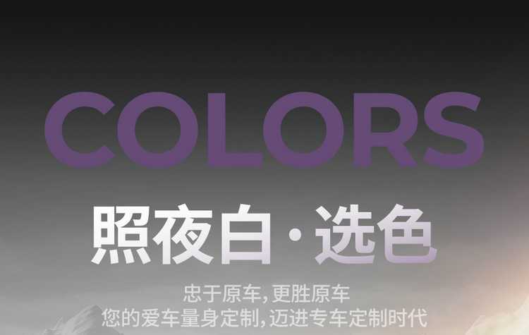 2625 model Baojun Xiangjing seat cushion, full coverage, four-season special seat cover, perforated leather car accessories, car seat cover