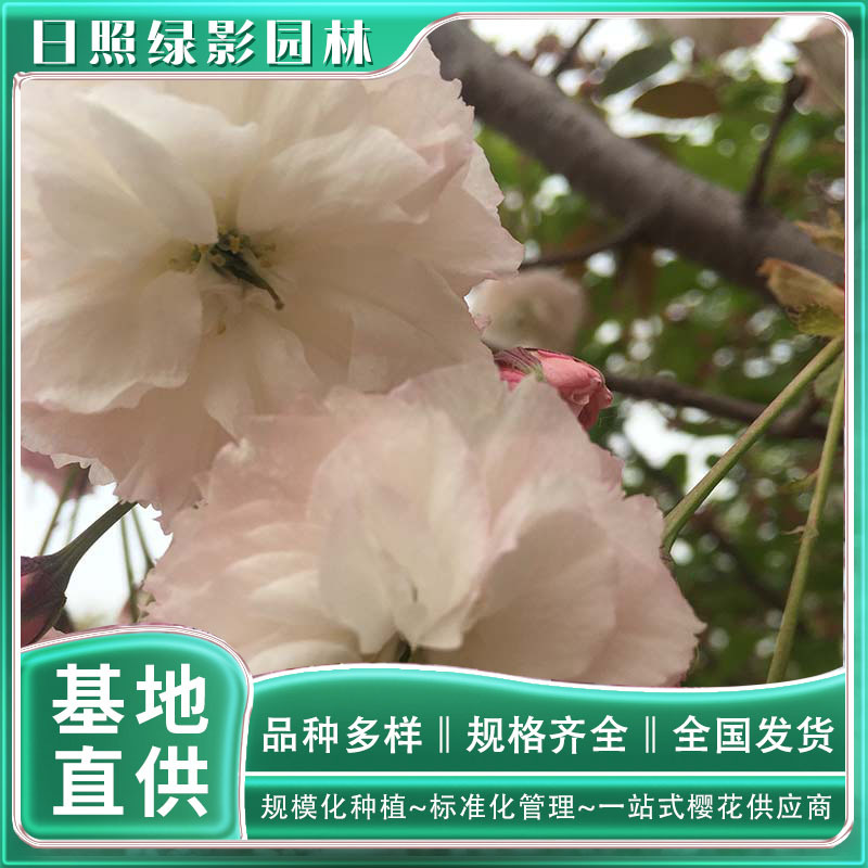 微信图片_20230211104100 副本.jpg